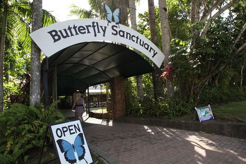 Kuranda Day Trip From Port Douglas Upgrade To Skyrail & Scenic Train Available - Accommodation Coffs Harbour 0