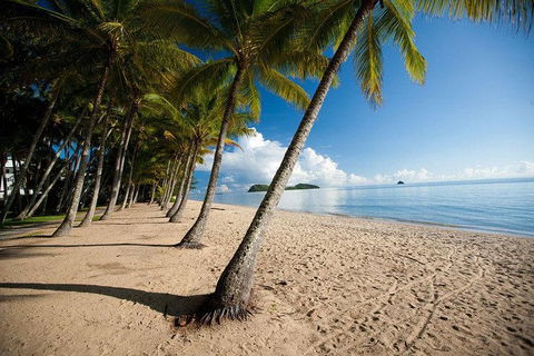 Kuranda Day Trip From Port Douglas Upgrade To Skyrail & Scenic Train Available - Accommodation Coffs Harbour 1