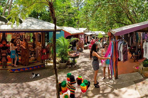 Kuranda Day Trip From Port Douglas Upgrade To Skyrail & Scenic Train Available - Accommodation Coffs Harbour 2