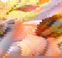 Massage relaxation Deep Tissue Whole Bodysports Etc.by Male Therapist