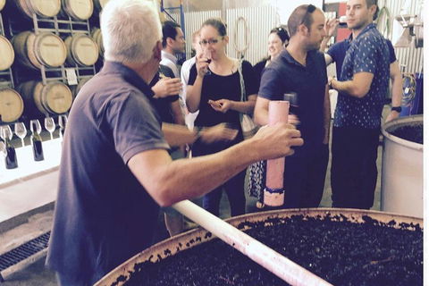 Luxury Private Mclaren Vale Wine Tour - Accommodation Coffs Harbour 4