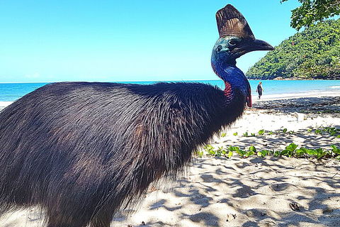 The Paronella Experience - Accommodation Coffs Harbour 0