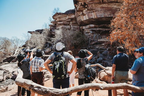 Kakadu Full-Day Tour From Darwin With Lunch - Accommodation Coffs Harbour 1
