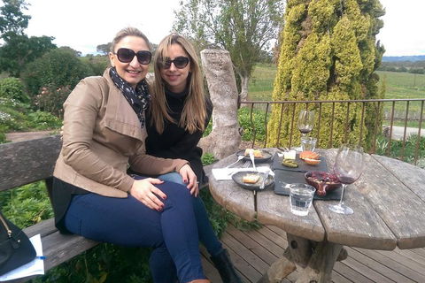 McLaren Vale Intimate Winery Tour By Private Limo - Accommodation Coffs Harbour 4