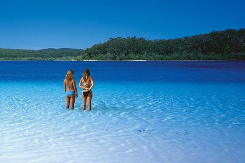 Fraser Island 4WD Tour From Noosa - Accommodation Coffs Harbour 2