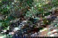 Fraser Island 4WD Tour from Rainbow Beach