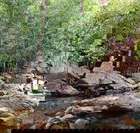 Ethical Adventures - Best in the WET - Litchfield / Kakadu 3 Day- max 10 guests - Accommodation Coffs Harbour