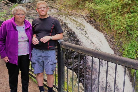Natural Arch, Rainforest & Volcano Canyon - Private Half Day Tour - Accommodation Coffs Harbour 1