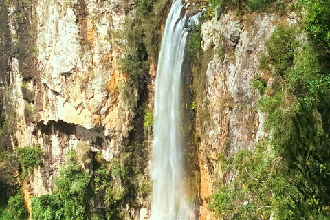 Natural Arch, Rainforest & Volcano Canyon - Private Half Day Tour - Accommodation Coffs Harbour 2