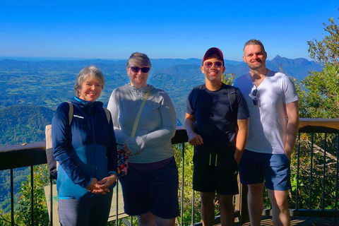 Natural Arch, Rainforest & Volcano Canyon - Private Half Day Tour - Accommodation Coffs Harbour 3