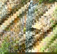 Private Tour - Rainforest  Waterfalls Extravaganza