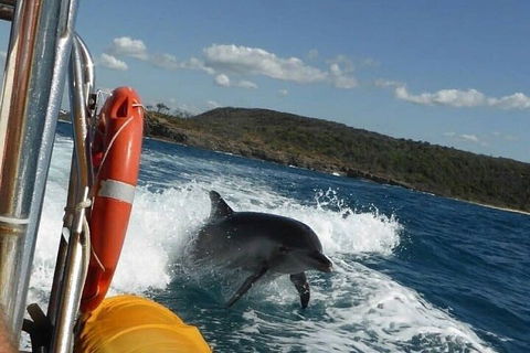 Noosa Oceanrider - Adventure Tour - Accommodation Coffs Harbour 1