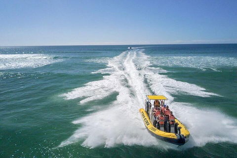 Noosa Oceanrider - Adventure Tour - Accommodation Coffs Harbour 2