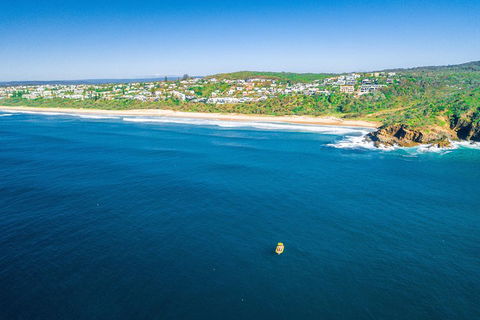 Noosa Oceanrider - Adventure Tour - Accommodation Coffs Harbour 3
