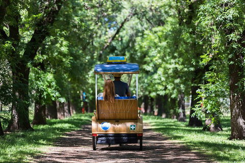 Adelaide 90-Minute Pedicab Tour: Scenic Green & River Experience - Accommodation Coffs Harbour 2