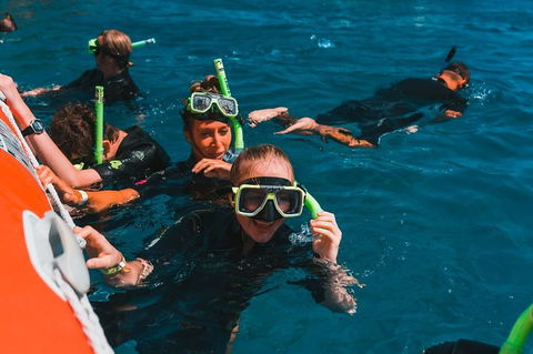 Whitehaven Beach And Hill Inlet Lookout Full-Day Snorkeling Cruise By High-Speed Catamaran - Accommodation Coffs Harbour 3