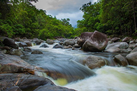 Cape Tribulation Day Tour - Accommodation Coffs Harbour 0
