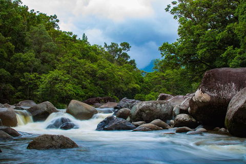 Cape Tribulation Day Tour - Accommodation Coffs Harbour 4