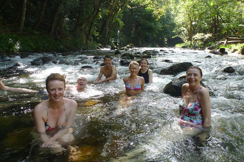 Daintree Rainforest, Cape Tribulation, Mossman Gorge Small-Group Day Tour - Accommodation Coffs Harbour 0