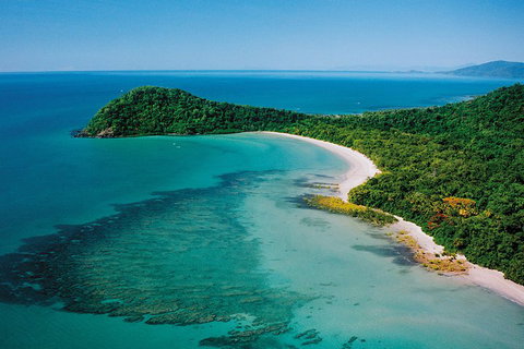 Daintree Rainforest, Cape Tribulation, Mossman Gorge Small-Group Day Tour - Accommodation Coffs Harbour 4