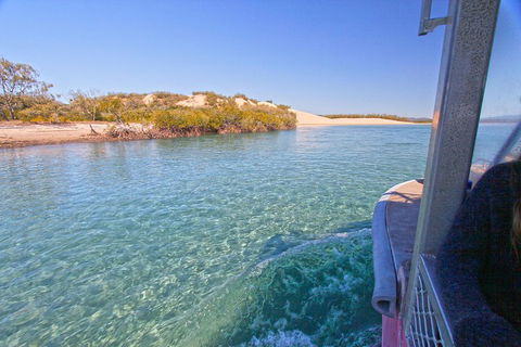 1770 Coastline Tour By LARC Amphibious Vehicle Including Picnic Lunch - Accommodation Coffs Harbour 5