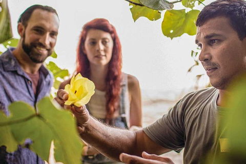 Ngana Julaymba Dungay - Full Day - Accommodation Coffs Harbour 4