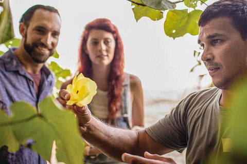 Ngana Julaymba Dungay - Half Day - Accommodation Coffs Harbour 1