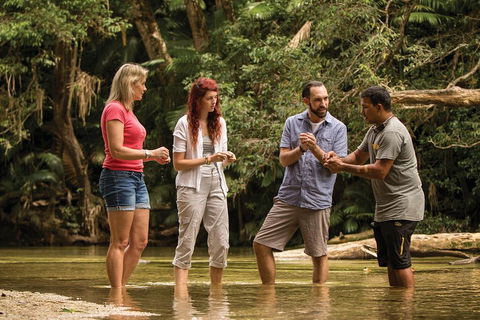 Ngana Julaymba Dungay - Half Day - Accommodation Coffs Harbour 5