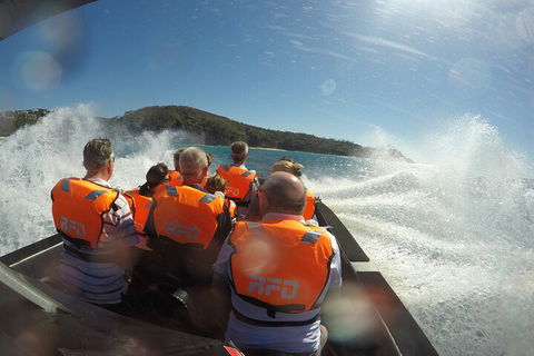 Noosa Thriller - 500hp Ocean Adventure Ride - Accommodation Coffs Harbour 3