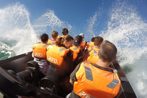 Noosa Thriller - 500hp Ocean Adventure Ride - Accommodation Coffs Harbour 4