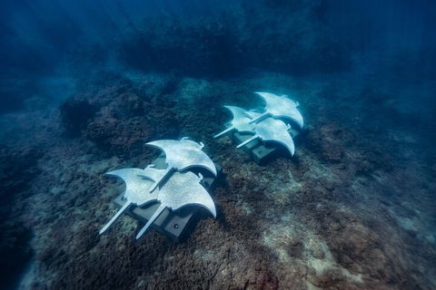 Premium Private Charter - Accommodation Coffs Harbour 3