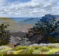 Blue Mountains Private Tour - wild kangaroos waterfalls and The Three Sisters - Accommodation Coffs Harbour
