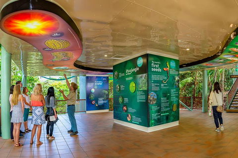 Skyrail & Kuranda Train Day Trip From Cairns - Accommodation Coffs Harbour 0