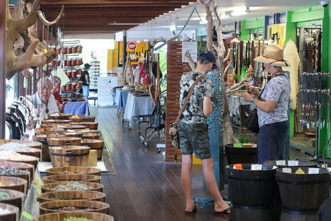 Skyrail & Kuranda Train Day Trip From Cairns - Accommodation Coffs Harbour 5
