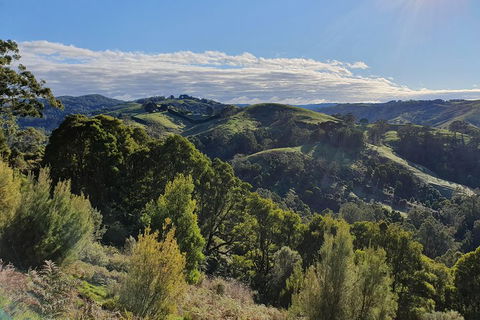 3-Day Adelaide To Melbourne Tour Including The Great Ocean Road - Accommodation Coffs Harbour 5