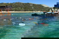 All Inclusive Dolphin and Tangalooma Wrecks Cruise, Brisbane