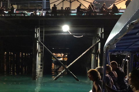 Darwin Sunset Cruise Including Fish 'n' Chips - Accommodation Coffs Harbour 0