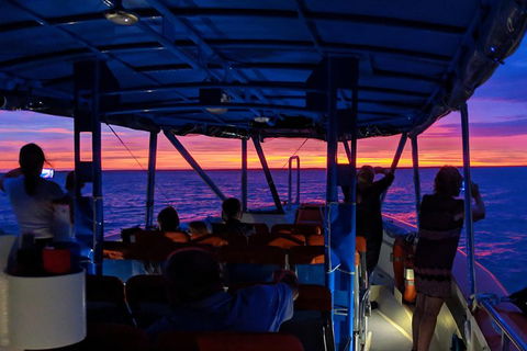 Darwin Sunset Cruise Including Fish 'n' Chips - Accommodation Coffs Harbour 1
