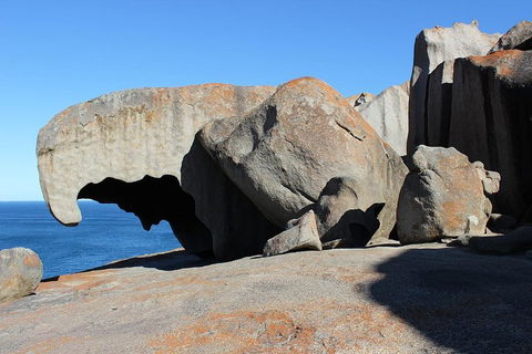 Kangaroo Island Personal Group Tours - Accommodation Coffs Harbour 2
