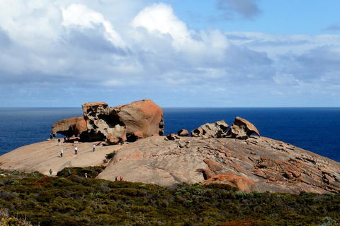 Kangaroo Island Personal Group Tours - Accommodation Coffs Harbour 5