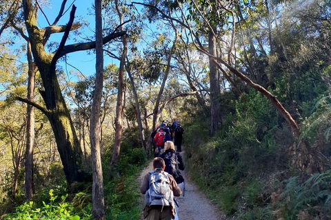 Self-Guided Waterfall Gully To Mount Lofty Hike From Adelaide - Accommodation Coffs Harbour 1