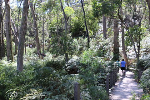 Self-Guided Waterfall Gully To Mount Lofty Hike From Adelaide - Accommodation Coffs Harbour 2