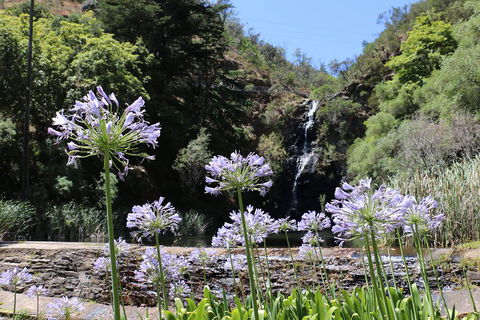 Self-Guided Waterfall Gully To Mount Lofty Hike From Adelaide - Accommodation Coffs Harbour 3