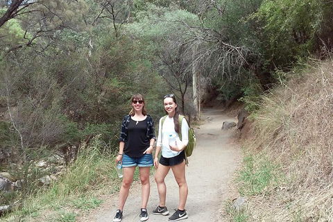 Self-Guided Waterfall Gully To Mount Lofty Hike From Adelaide - Accommodation Coffs Harbour 4