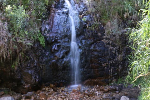Self-Guided Waterfall Gully To Mount Lofty Hike From Adelaide - Accommodation Coffs Harbour 5