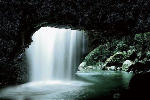 Natural Bridge Glow Worm Night Tour From Gold Coast - Accommodation Coffs Harbour 0