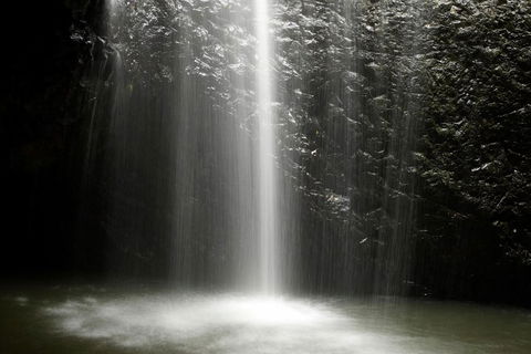 Natural Bridge Glow Worm Night Tour From Gold Coast - Accommodation Coffs Harbour 2