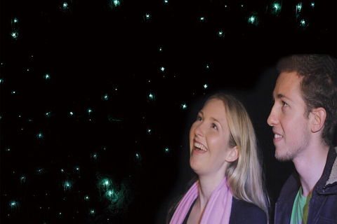 Natural Bridge Glow Worm Night Tour From Gold Coast - Accommodation Coffs Harbour 3