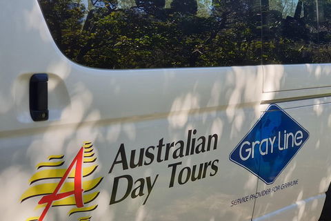 Natural Bridge Glow Worm Night Tour From Gold Coast - Accommodation Coffs Harbour 5