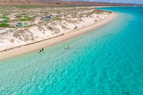 Ningaloo In A Day - Full Day Hike And Snorkel Tour With Lunch - Accommodation Coffs Harbour 0